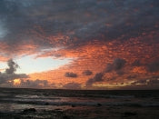 Payment Plan-Ignite Your Spark Individual Program-Payment 1 of 3